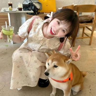 独角猫！第三季